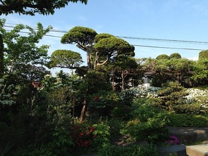 s-IMG_4536.jpg
