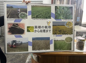 IMG_6744.JPEG
