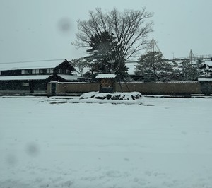 IMG_7477.JPEG