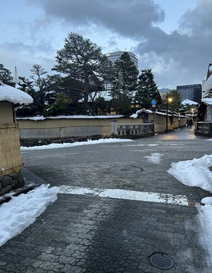 IMG_7502.JPEG