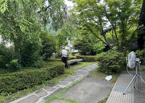 IMG_8980.JPEG